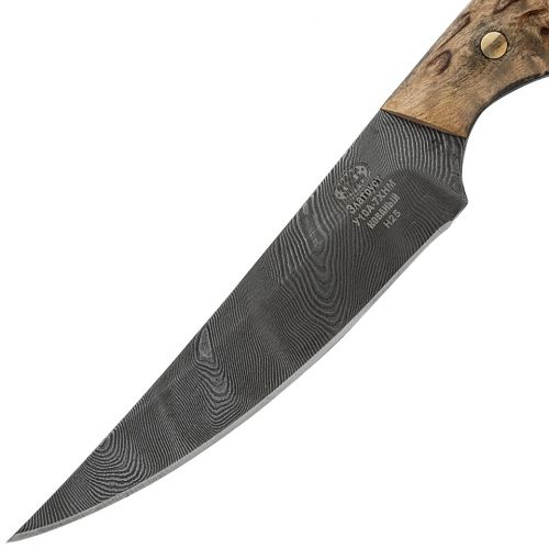 Нож охотничий, туристический «Виконт» Н25, сталь У10А-7ХНМ, рукоять: карельская береза